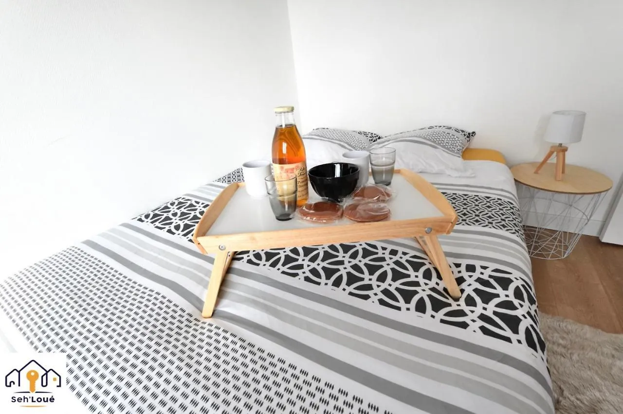 Perle Briochine Sehloue Apartment Saint-Brieuc